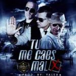 Javy The Flow Ft. JQ the 1 Contender y Yomo - Tu Me Caes Mal MP3